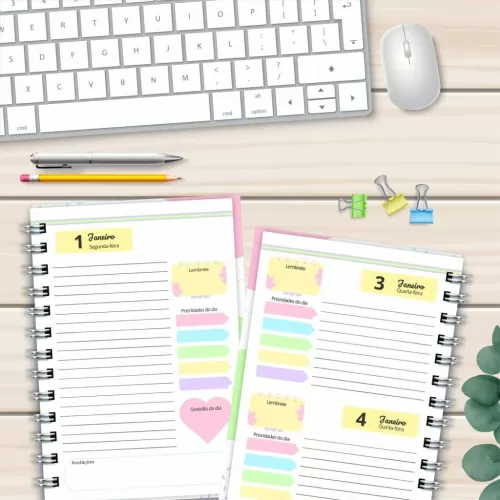 8 Miolos Agendas + 10 Capas 2024