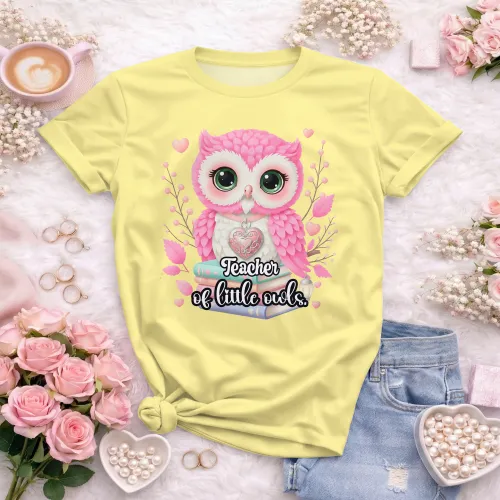Arte pronta para camisa de pedagogia infantil coruja livros formato CDR CorelDraw com varias cores
