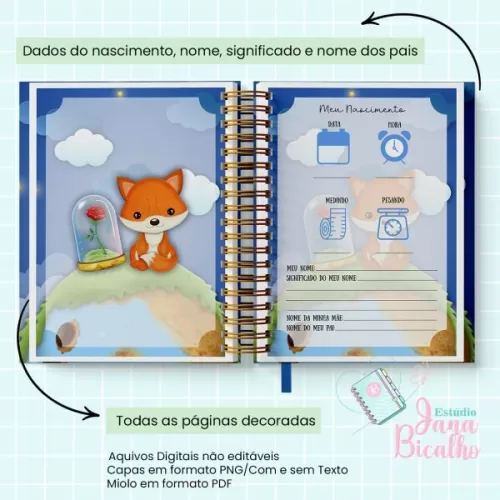Caderneta de Saúde – Pequeno Príncipe – Jana Bicalho