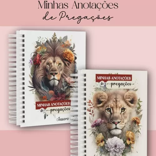 Coleção Minhas Anotações de Pregações (Dream Arts)