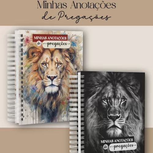 Coleção Minhas Anotações de Pregações (Dream Arts)