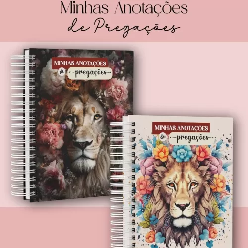 Coleção Minhas Anotações de Pregações (Dream Arts)