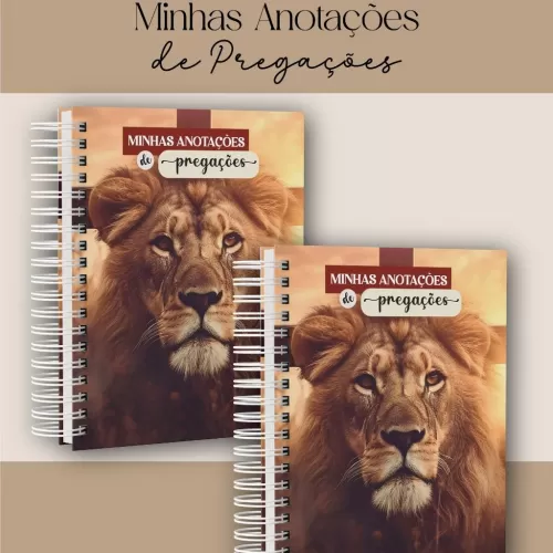 Coleção Minhas Anotações de Pregações (Dream Arts)