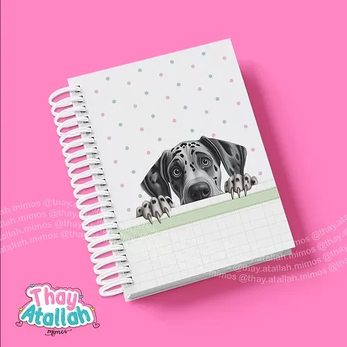 Combo Capas Pet’s – Thay Atallah