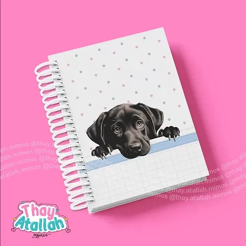 Combo Capas Pet’s – Thay Atallah