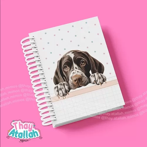 Combo Capas Pet’s – Thay Atallah