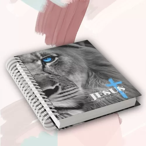 Combo Capas para Biblias e Devocional + Brindes Miolo Devocional Católico e Evangélico