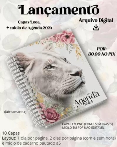 Combo Lançamento Capas Leoa – Dream Arts