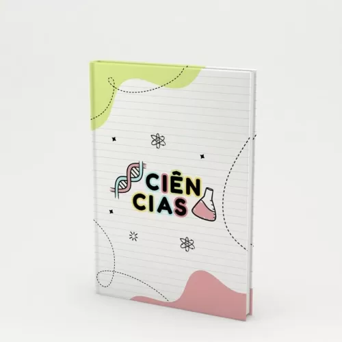 Kit 5 Capas Caderno Matérias 2024 (Vê Moraes)