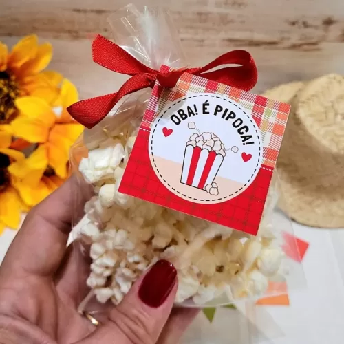 Kit Digital – Printables -  imagens e fundos – Festa Junina 2024 