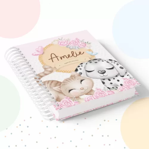 Kit Pet Menina – Volta às Aulas 2024 (Papel Amado)