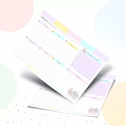 Kit Pet Menina – Volta às Aulas 2024 (Papel Amado)