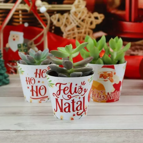 Kit Suculentas – Natal 2023 (Chuvinha de Papel)