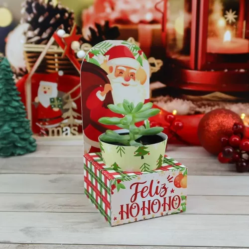 Kit Suculentas – Natal 2023 (Chuvinha de Papel)