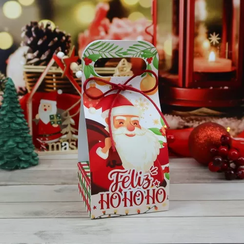 Kit Suculentas – Natal 2023 (Chuvinha de Papel)