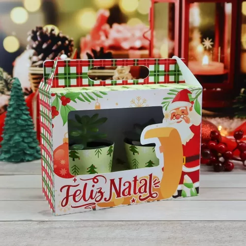 Kit Suculentas – Natal 2023 (Chuvinha de Papel)