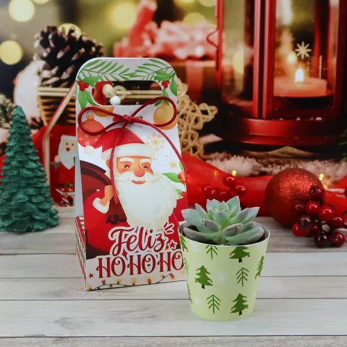 Kit Suculentas – Natal 2023 (Chuvinha de Papel)