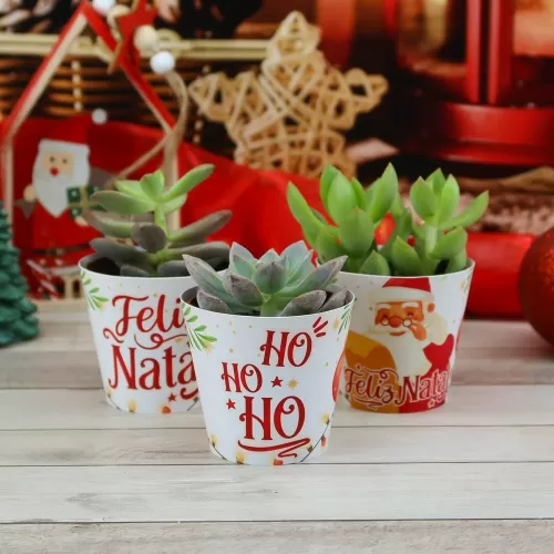 Kit Suculentas – Natal 2023 (Chuvinha de Papel)