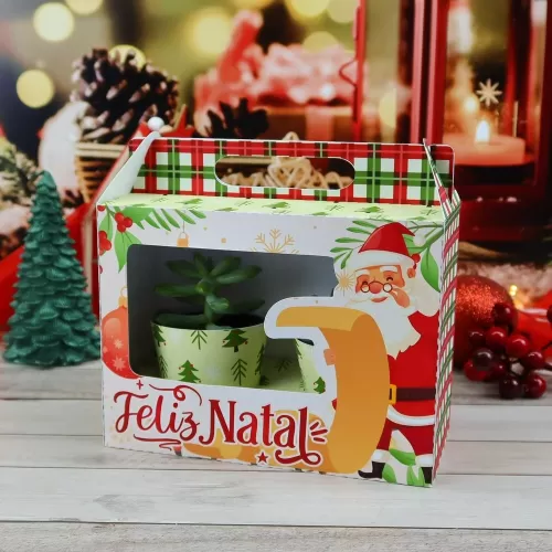 Kit Suculentas – Natal 2023 (Chuvinha de Papel)
