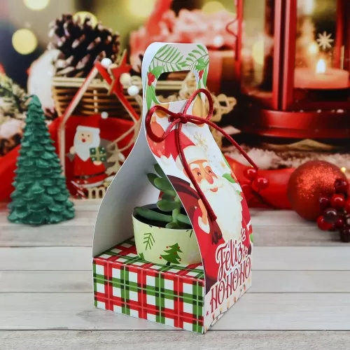 Kit Suculentas – Natal 2023 (Chuvinha de Papel)