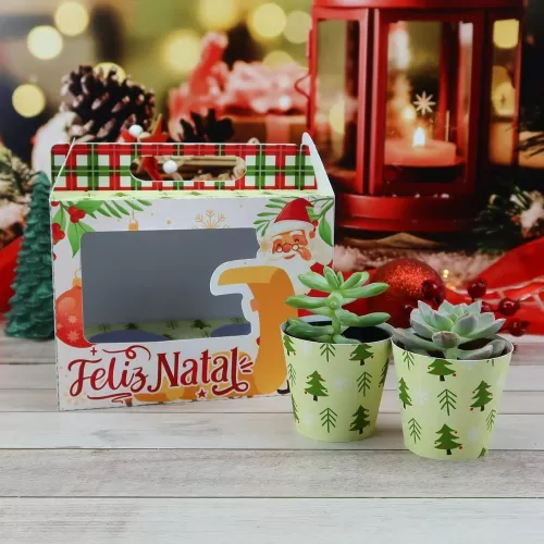 Kit Suculentas – Natal 2023 (Chuvinha de Papel)