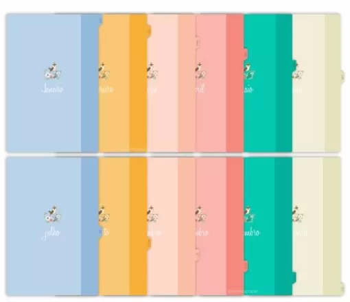 Planner Diretora+ Diretor Datado 2024 – Carina’s Paper