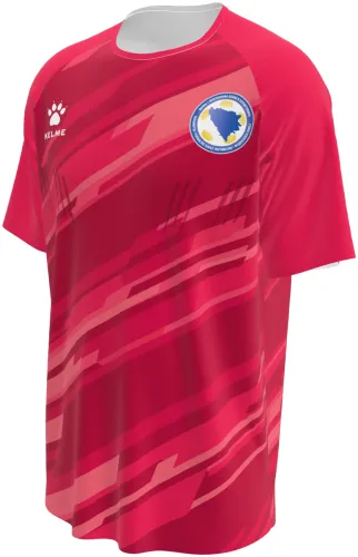 Camisa de goleiro da Bósnia e Herzegovina 2026 rosa com riscos diagonais, frente e costas