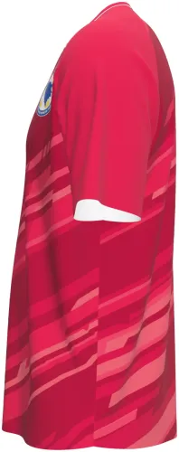 Camisa de goleiro da Bósnia e Herzegovina 2026 rosa com riscos diagonais, frente e costas