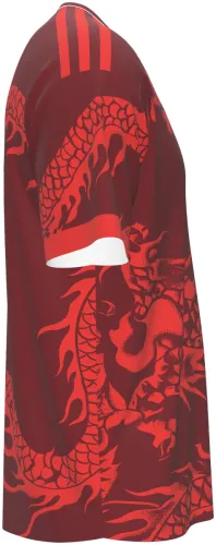 Camisa terceiro uniforme do SC Internacional 2026 bordô com um dragão chinês, frente e costas