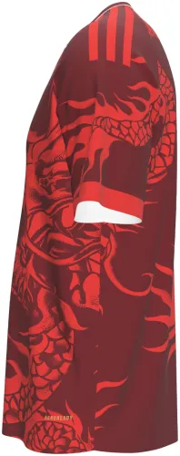 Camisa terceiro uniforme do SC Internacional 2026 bordô com um dragão chinês, frente e costas