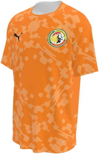 Camisa de goleiro do Senegal 2026 laranja com camuflagem de blocos, frente e costas