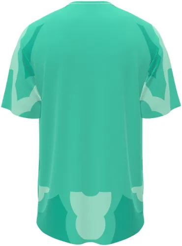 Camisa de goleiro da Costa do Marfim 2026 verde-menta com uma estrela grande, frente e costas