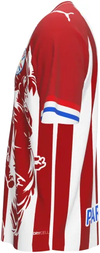 Camisa conceito do Paraguai 2026 listrada com o Goku desenhado, frente e costas