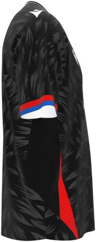 Camisa visitante do Crystal Palace 2026 - 2027 preta com plumagem tom sobre tom, frente e costas