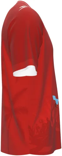 Camisa terceiro uniforme do Haiti 2026 vermelha com cena da independência, frente e costas